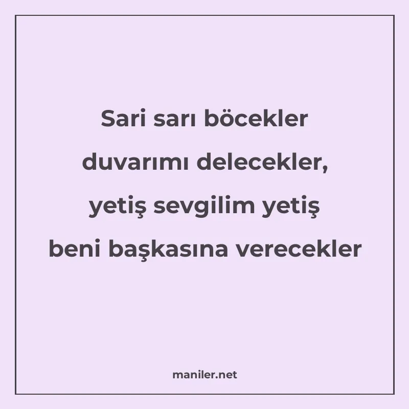 Sari sarı böcekler duvarımı delecekler, yetiş sevgilim yetiş manisi görseli