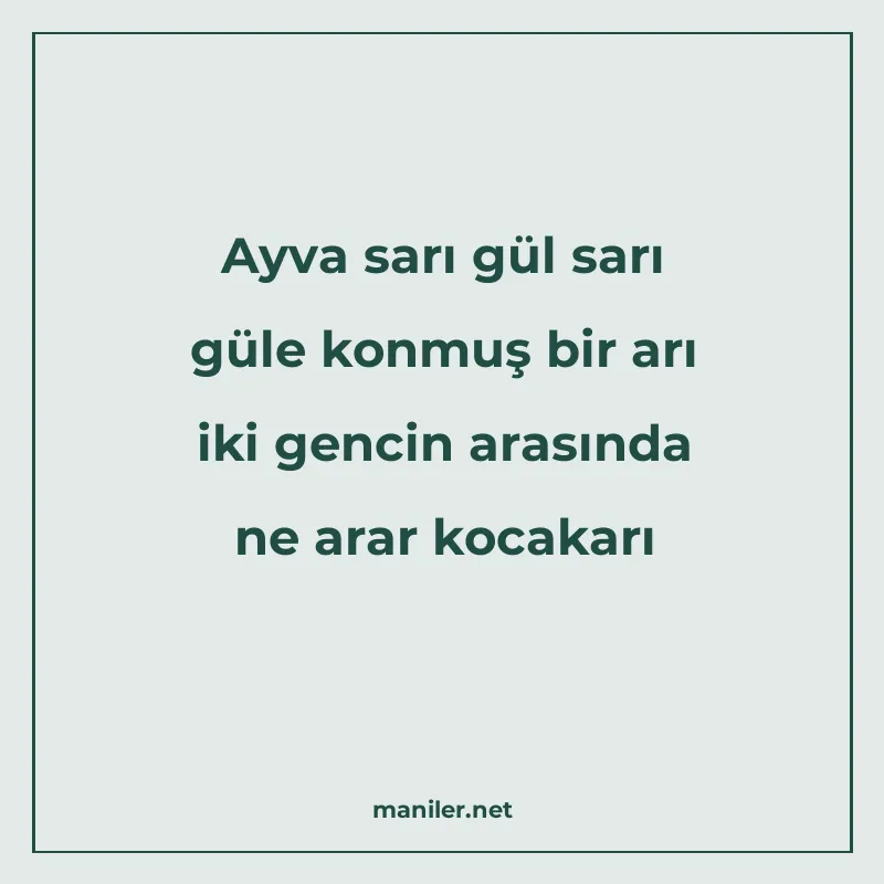 Ayva sarı gül sarı güle konmuş bir arı iki gencin arasında n manisi görseli