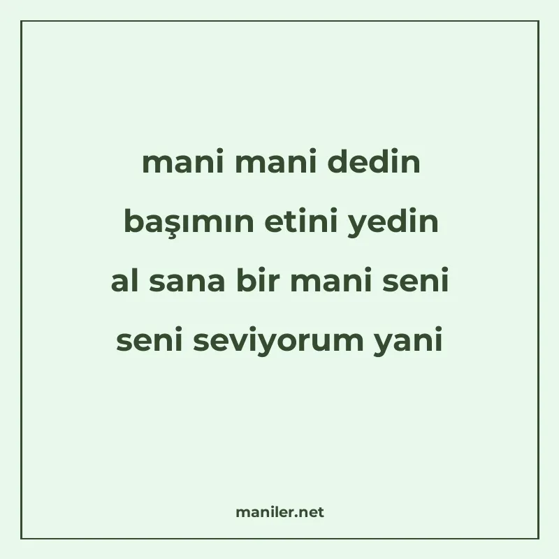 mani mani dedin başımın etini yedin al sana bir mani seni se manisi görseli