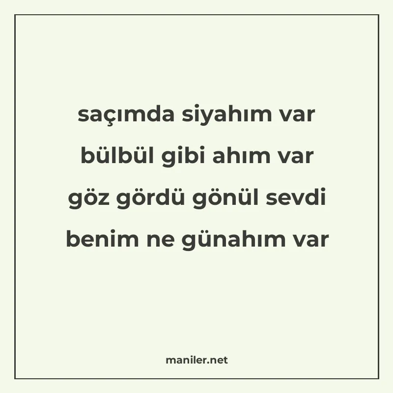 saçımda siyahım var bülbül gibi ahım var göz gördü gönül sev manisi görseli