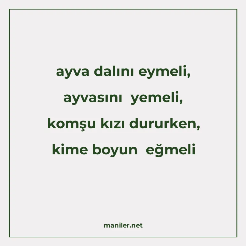 ayva dalını eymeli, ayvasını yemeli, komşu kızı dururken, ki manisi görseli