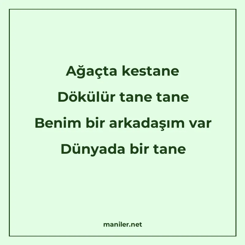 Ağaçta kestane Dökülür tane tane Benim bir arkadaşım var Dün manisi görseli