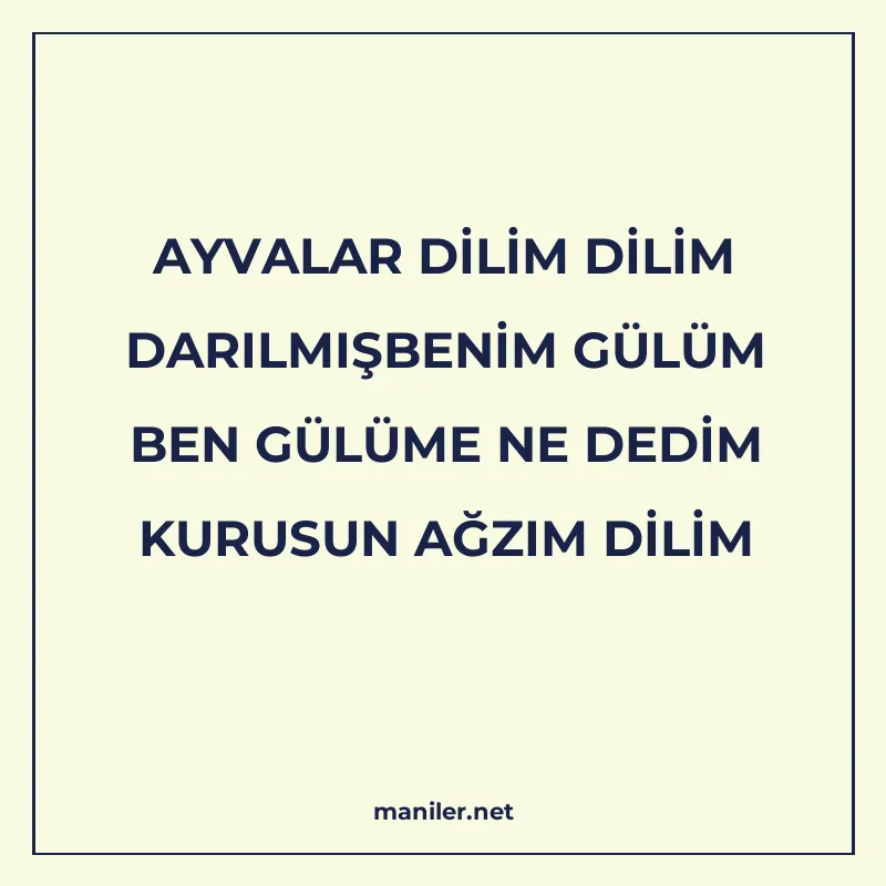 AYVALAR DİLİM DİLİM DARILMIŞBENİM GÜLÜM BEN GÜLÜME NE DEDİM manisi görseli