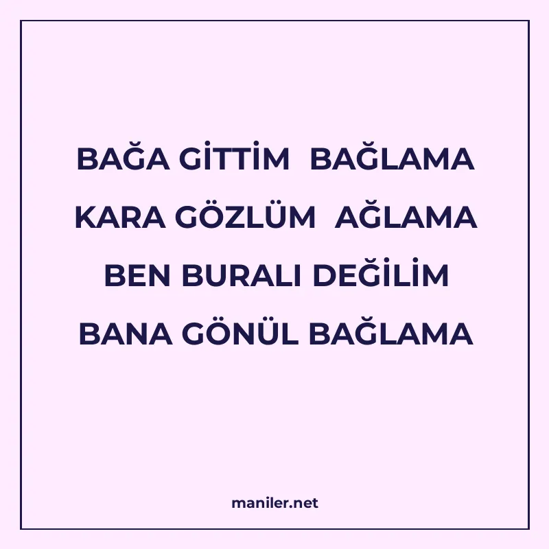 BAĞA GİTTİM BAĞLAMA KARA GÖZLÜM AĞLAMA BEN BURALI DEĞİLİM BA manisi görseli