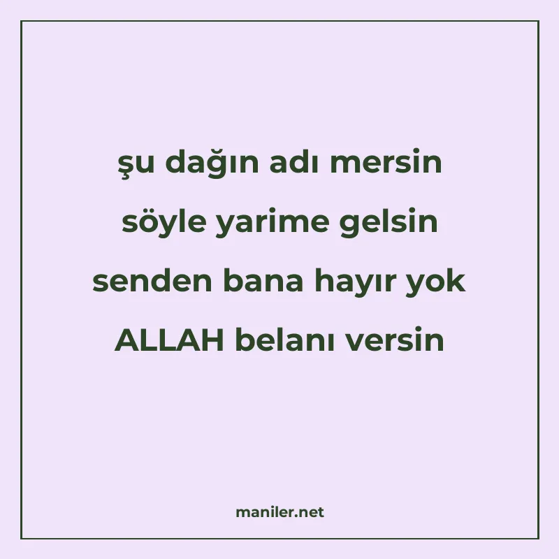 şu dağın adı mersin söyle yarime gelsin senden bana hayır yo manisi görseli