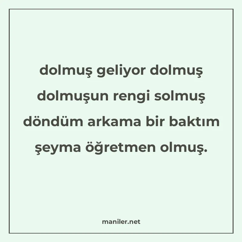 dolmuş geliyor dolmuş dolmuşun rengi solmuş döndüm arkama bi manisi görseli