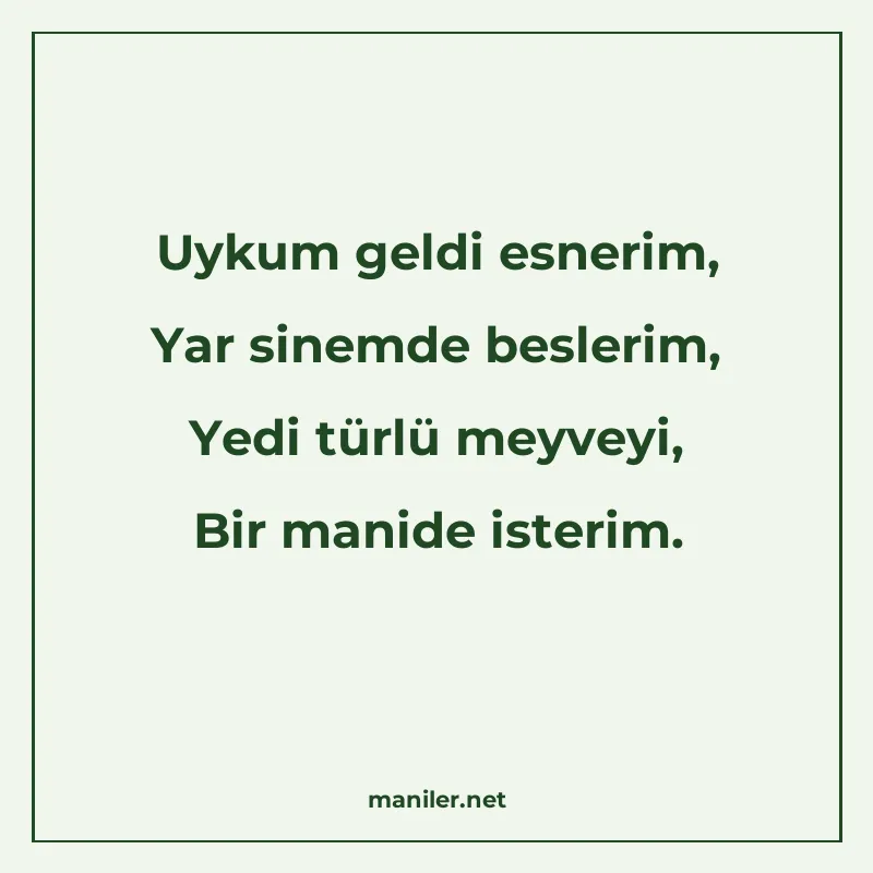 Uykum geldi esnerim, Yar sinemde beslerim, Yedi türlü meyvey manisi görseli