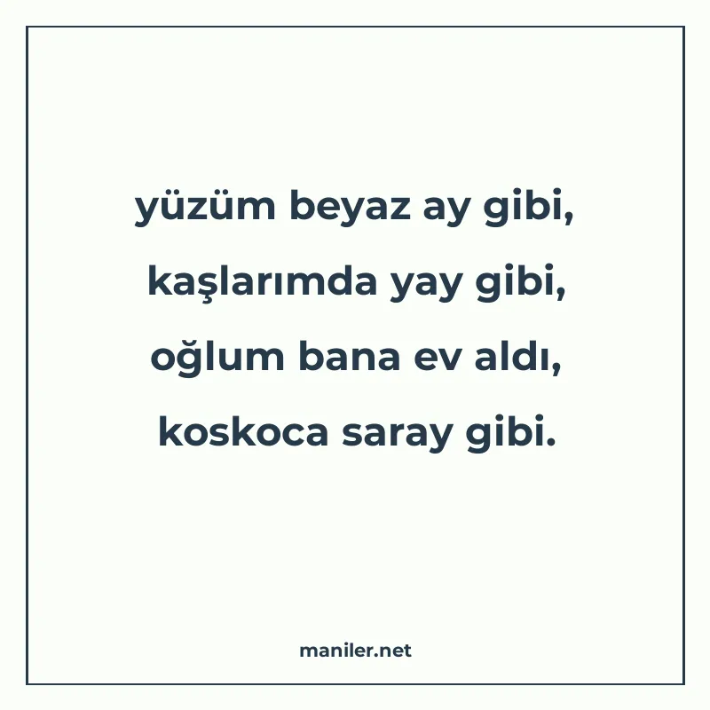 yüzüm beyaz ay gibi, kaşlarımda yay gibi, oğlum bana ev aldı manisi görseli