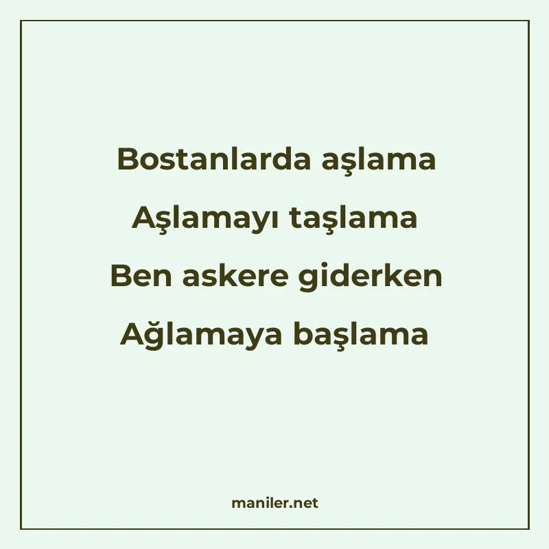 Bostanlarda aşlama Aşlamayı taşlama Ben askere giderken Ağla manisi görseli