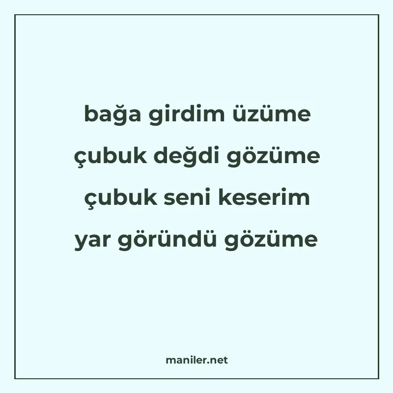 bağa girdim üzüme çubuk değdi gözüme çubuk seni keserim yar manisi görseli
