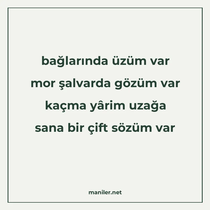 bağlarında üzüm var mor şalvarda gözüm var kaçma yârim uzağa manisi görseli