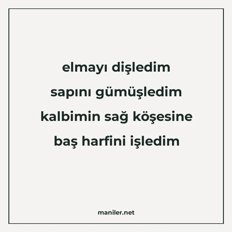 elmayı dişledim sapını gümüşledim kalbimin sağ köşesine baş manisi görseli