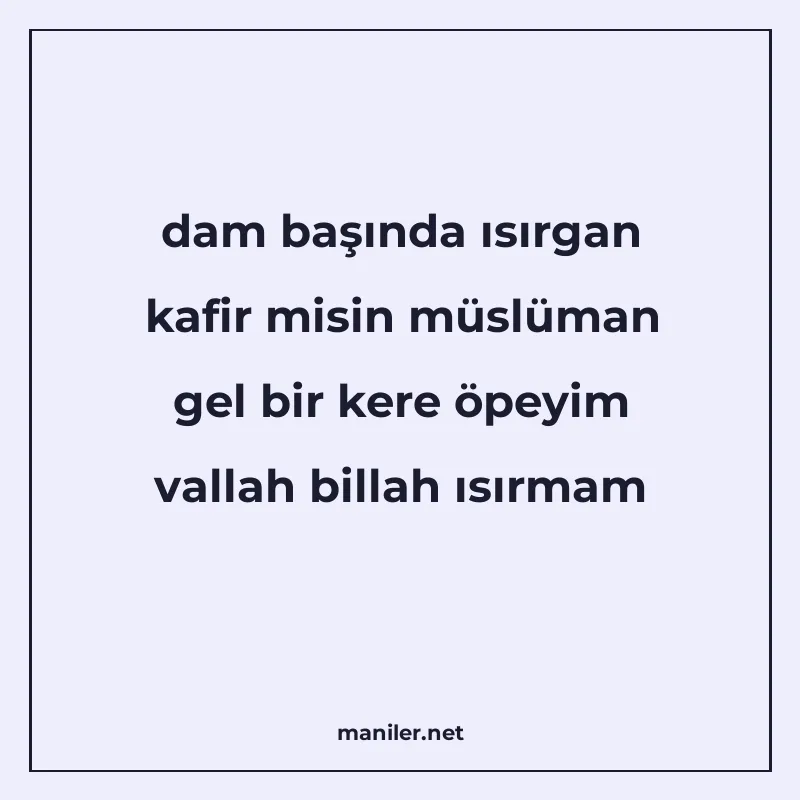 dam başında ısırgan kafir misin müslüman gel bir kere öpeyim manisi görseli