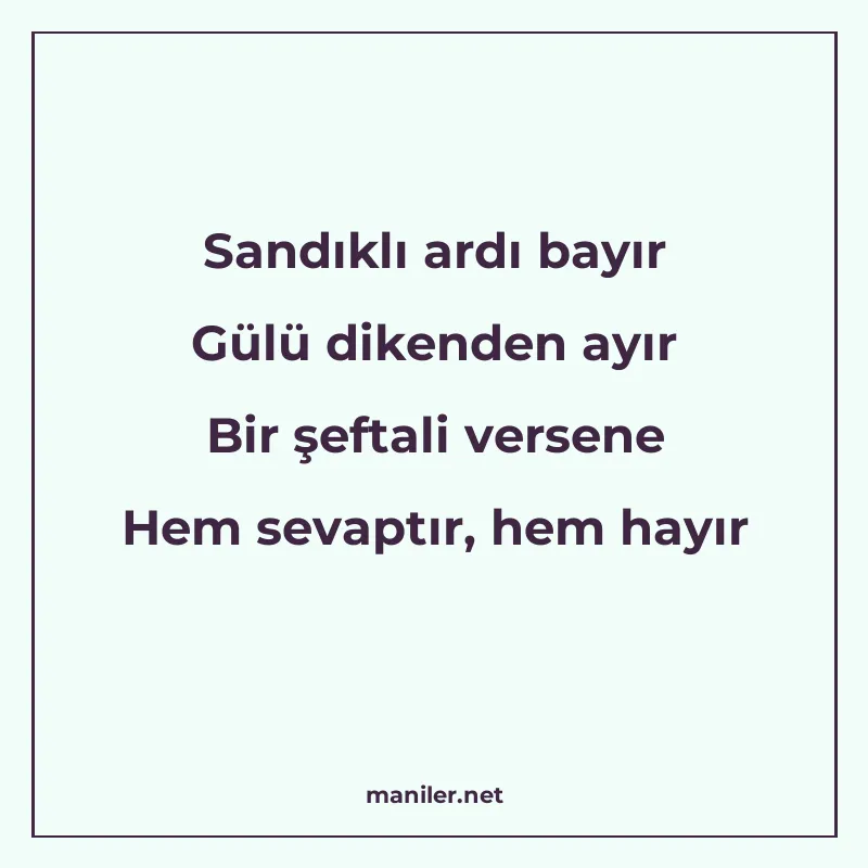 Sandıklı ardı bayır Gülü dikenden ayır Bir şeftali versene H manisi görseli