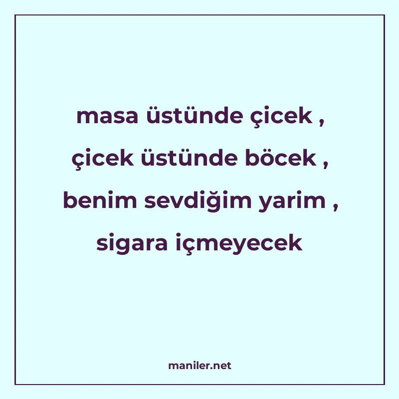 masa üstünde çicek , çicek üstünde böcek , benim sevdiğim ya manisi görseli