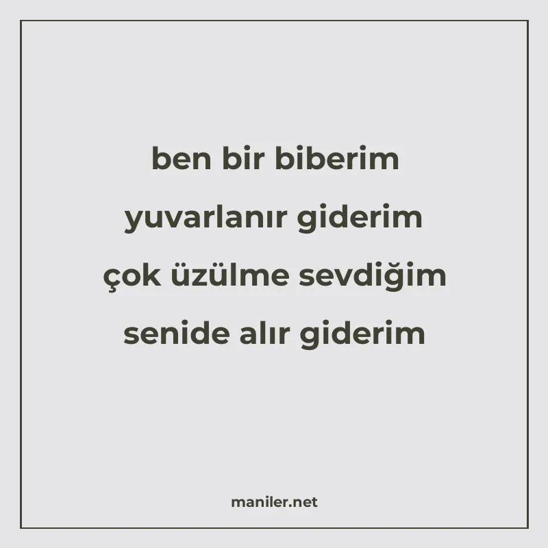 ben bir biberim yuvarlanır giderim çok üzülme sevdiğim senid manisi görseli