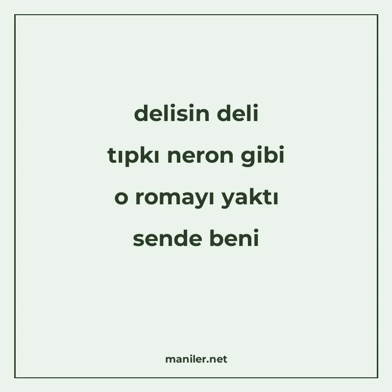 delisin deli tıpkı neron gibi o romayı yaktı sende beni manisi görseli