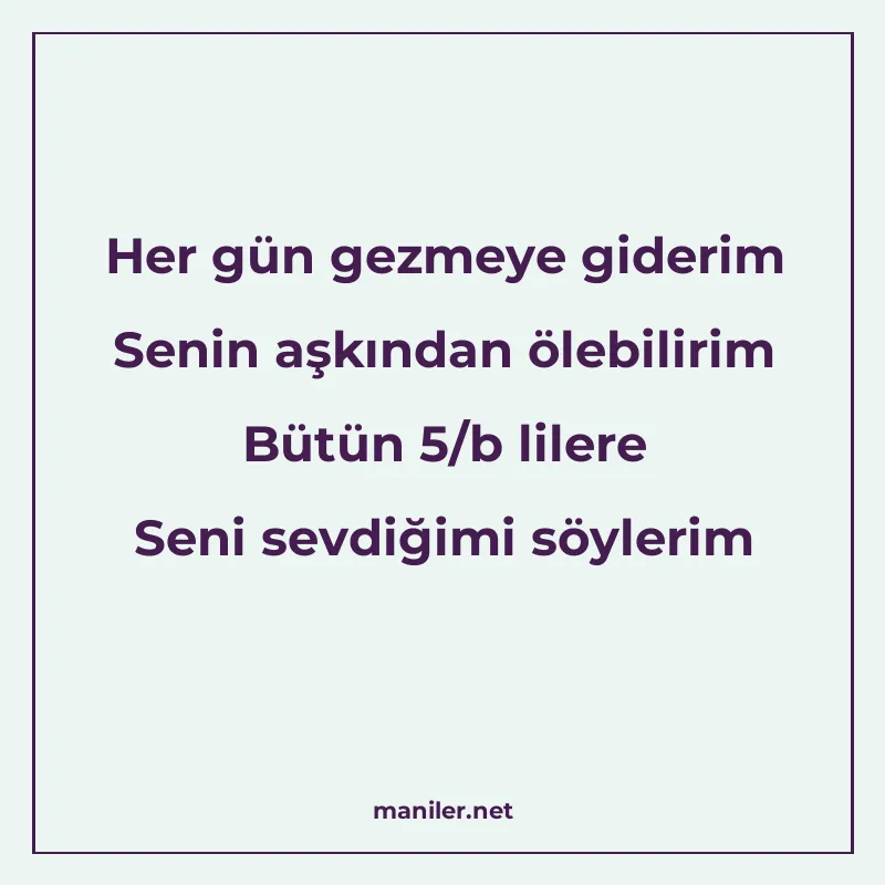 Her gün gezmeye giderim Senin aşkından ölebilirim Bütün 5/b manisi görseli