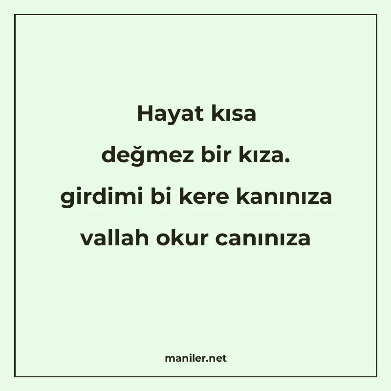 Hayat kısa değmez bir kıza. girdimi bi kere kanınıza vallah manisi görseli