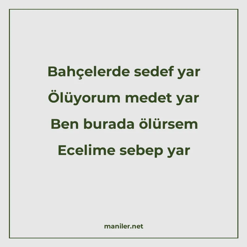 Bahçelerde sedef yar Ölüyorum medet yar Ben burada ölürsem E manisi görseli