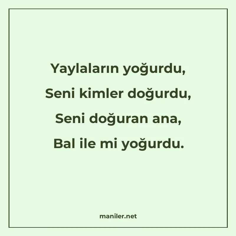 Yaylaların yoğurdu, Seni kimler doğurdu, Seni doğuran ana, B manisi görseli
