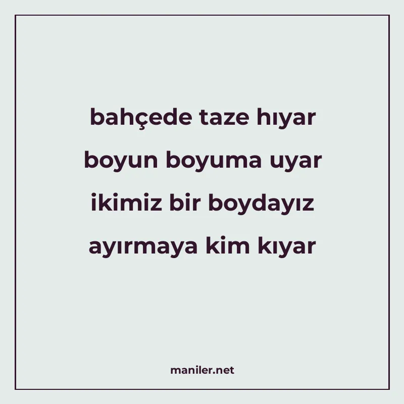 bahçede taze hıyar boyun boyuma uyar ikimiz bir boydayız ayı manisi görseli