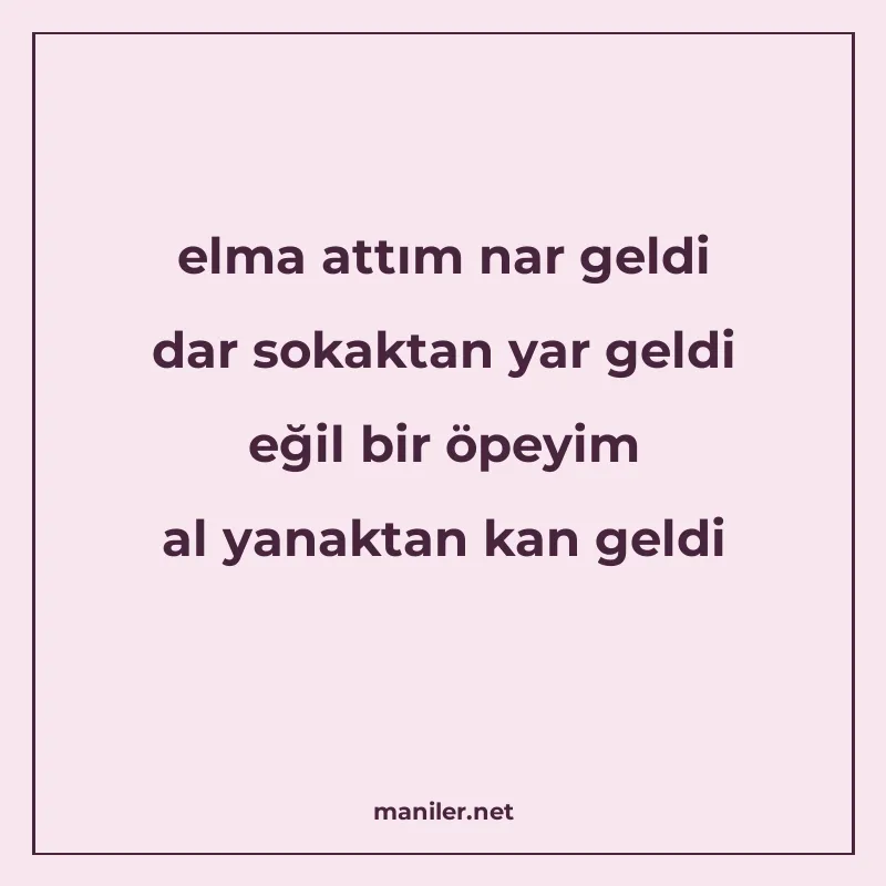 elma attım nar geldi dar sokaktan yar geldi eğil bir öpeyim manisi görseli