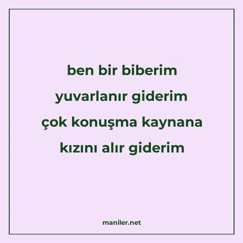 ben bir biberim yuvarlanır giderim çok konuşma kaynana kızın manisi görseli