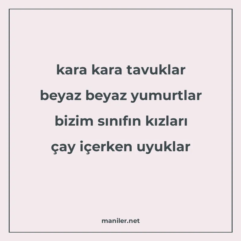 kara kara tavuklar beyaz beyaz yumurtlar bizim sınıfın kızla manisi görseli