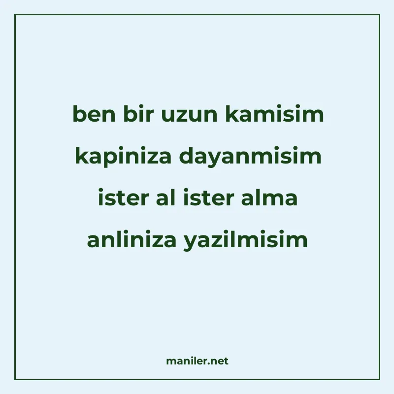 ben bir uzun kamisim kapiniza dayanmisim ister al ister alma manisi görseli
