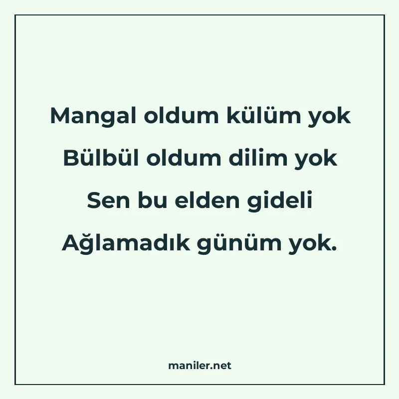 Mangal oldum külüm yok Bülbül oldum dilim yok Sen bu elden g manisi görseli