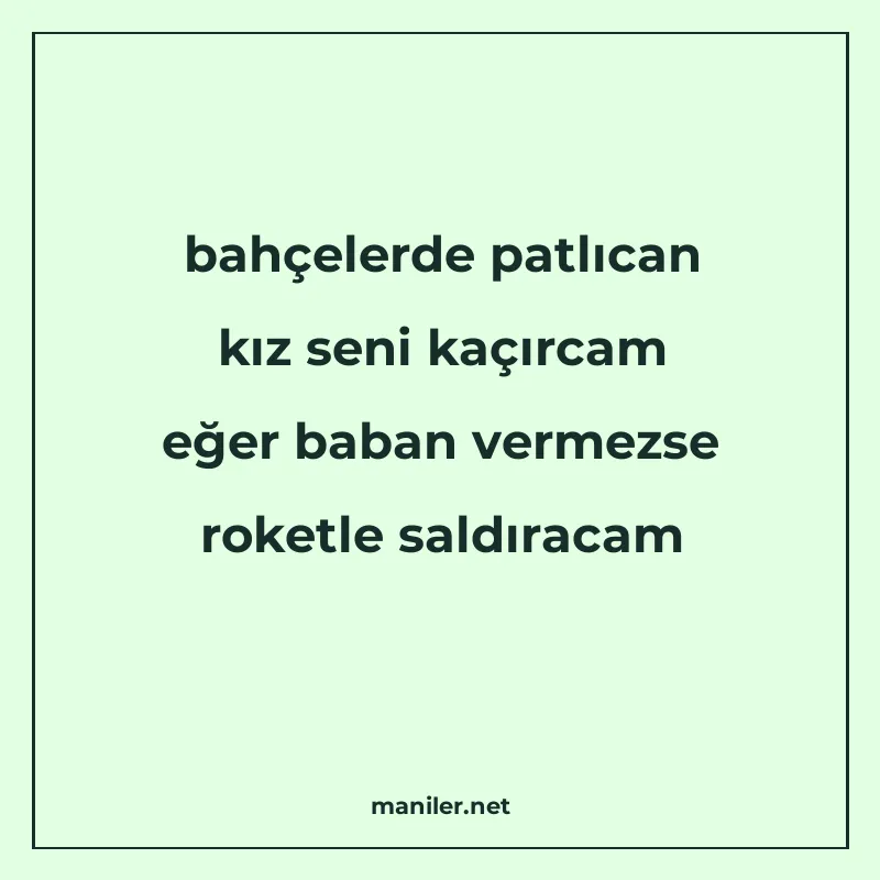 bahçelerde patlıcan kız seni kaçırcam eğer baban vermezse ro manisi görseli