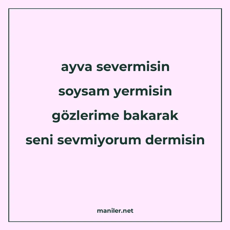 ayva severmisin soysam yermisin gözlerime bakarak seni sevmi manisi görseli