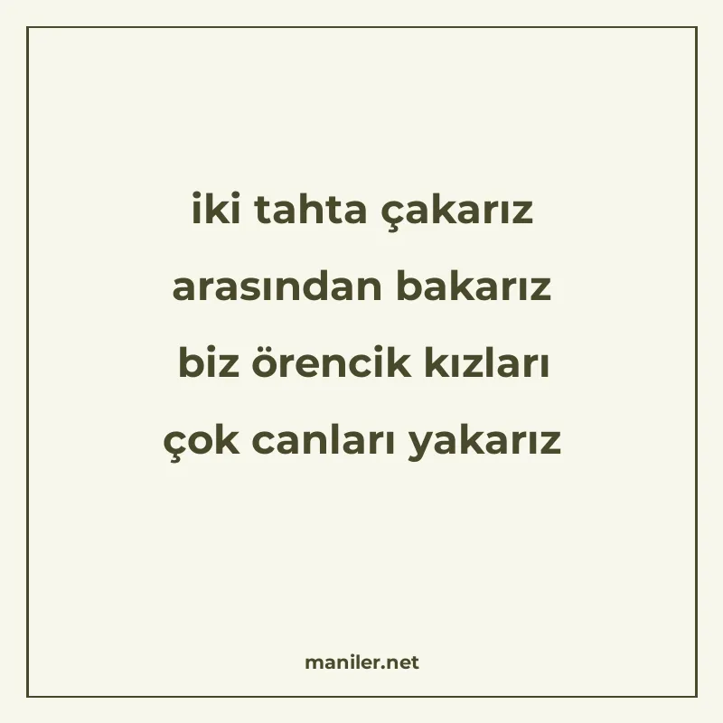 iki tahta çakarız arasından bakarız biz örencik kızları çok manisi görseli