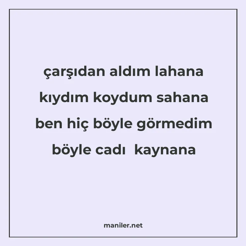 çarşıdan aldım lahana kıydım koydum sahana ben hiç böyle gör manisi görseli