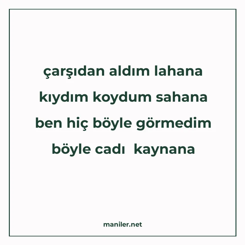 çarşıdan aldım lahana kıydım koydum sahana ben hiç böyle gör manisi görseli