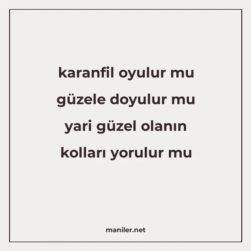 karanfil oyulur mu güzele doyulur mu yari güzel olanın kolla manisi görseli