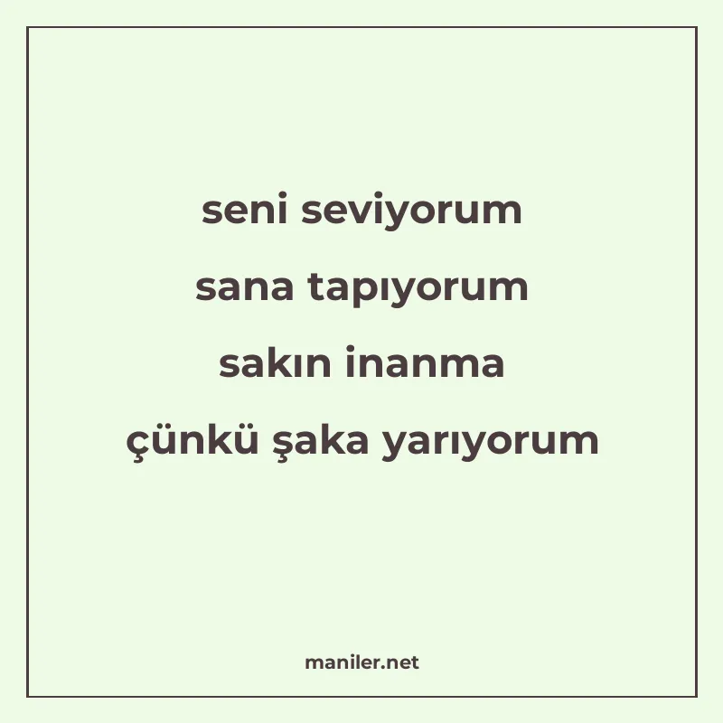 seni seviyorum sana tapıyorum sakın inanma çünkü şaka yarıyo manisi görseli