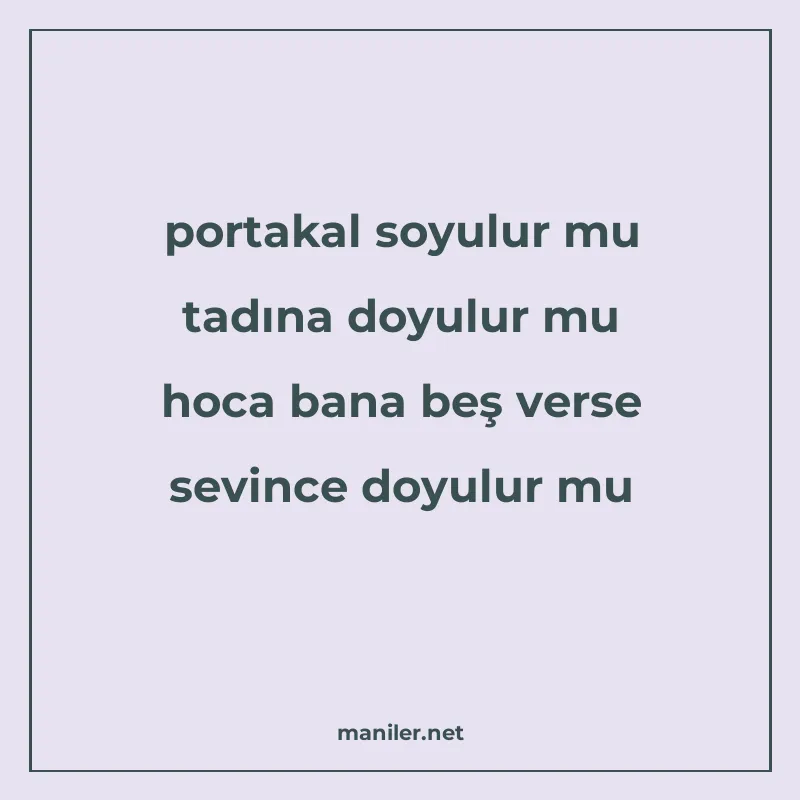 portakal soyulur mu tadına doyulur mu hoca bana beş verse se manisi görseli