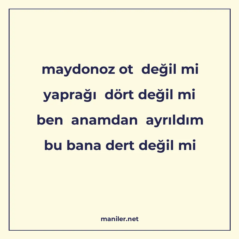 maydonoz ot değil mi yaprağı dört değil mi ben anamdan ayrıl manisi görseli