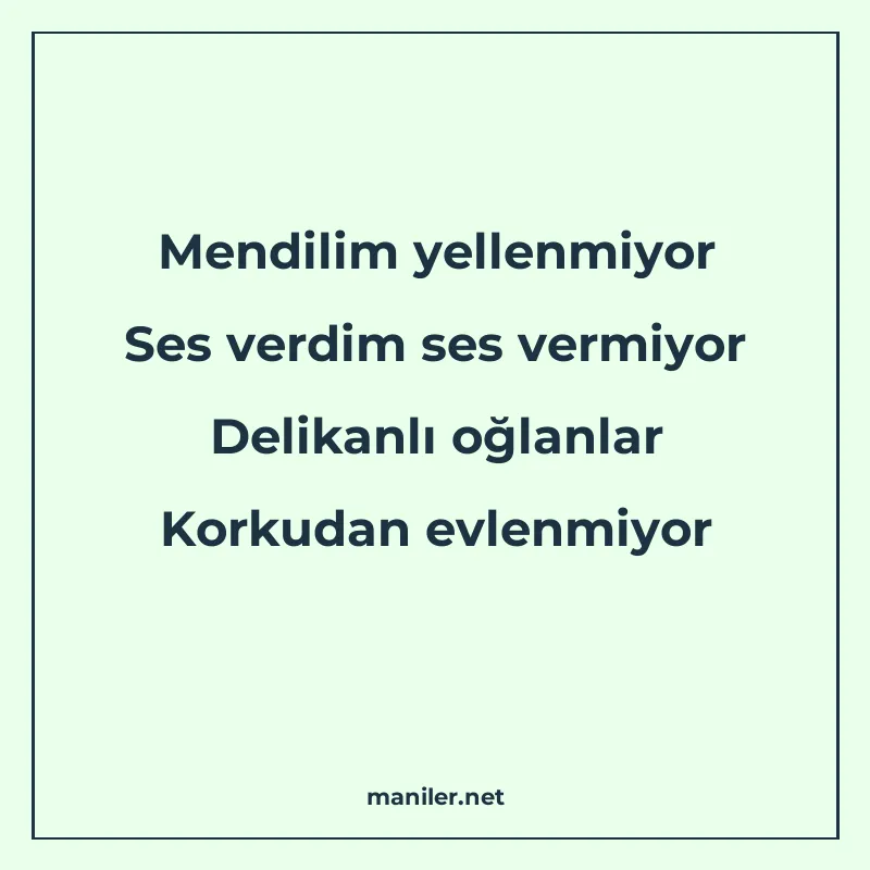 Mendilim yellenmiyor Ses verdim ses vermiyor Delikanlı oğlan manisi görseli