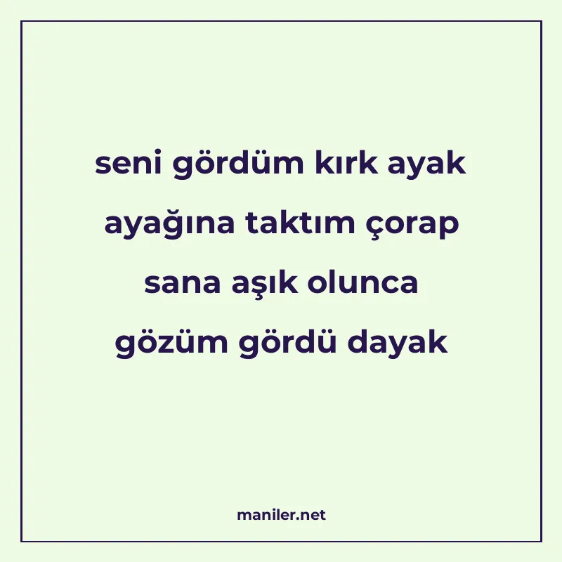seni gördüm kırk ayak ayağına taktım çorap sana aşık olunca manisi görseli