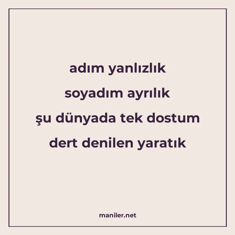 adım yanlızlık soyadım ayrılık şu dünyada tek dostum dert de manisi görseli