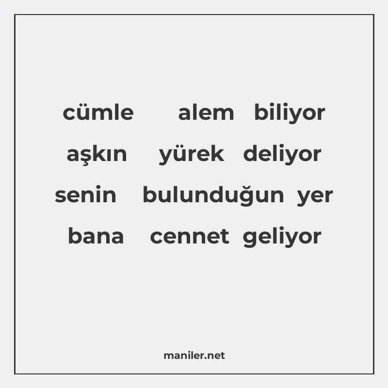 cümle alem biliyor aşkın yürek deliyor senin bulunduğun yer manisi görseli
