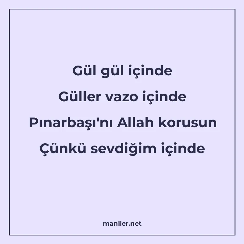 Gül gül içinde Güller vazo içinde Pınarbaşı'nı Allah korusun manisi görseli