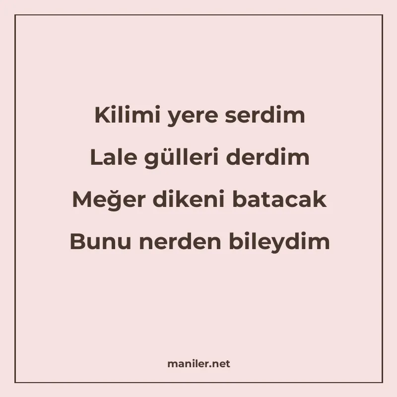 Kilimi yere serdim Lale gülleri derdim Meğer dikeni batacak manisi görseli