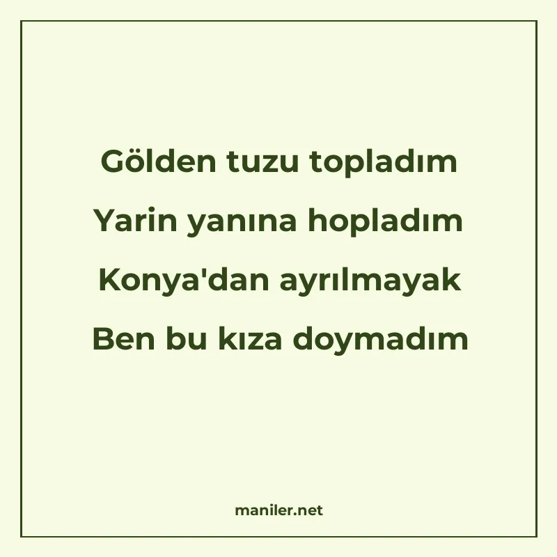 Gölden tuzu topladım Yarin yanına hopladım Konya'dan ayrılma manisi görseli