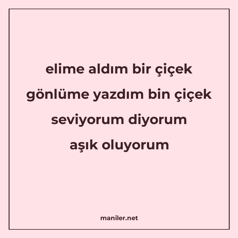elime aldım bir çiçek gönlüme yazdım bin çiçek seviyorum diy manisi görseli