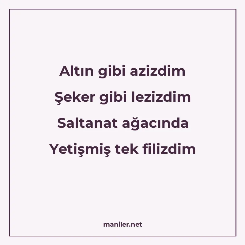 Altın gibi azizdim Şeker gibi lezizdim Saltanat ağacında Yet manisi görseli