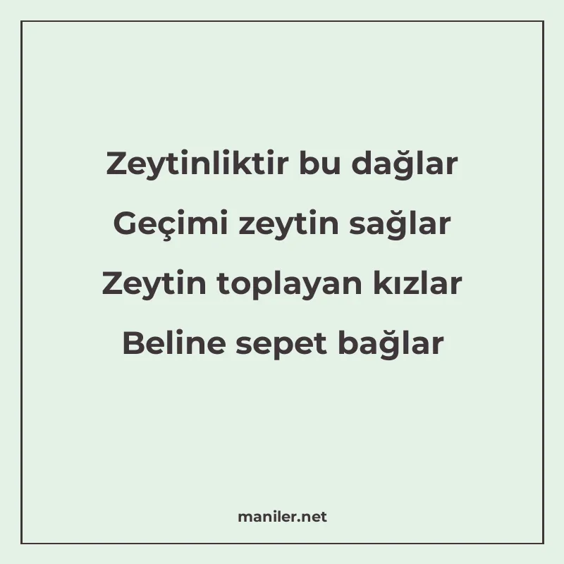 Zeytinliktir bu dağlar Geçimi zeytin sağlar Zeytin toplayan manisi görseli